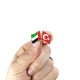 Birleşik Arap Emirlikleri ve Türkiye Bayrak Metal Yaka Rozeti 1 Adet