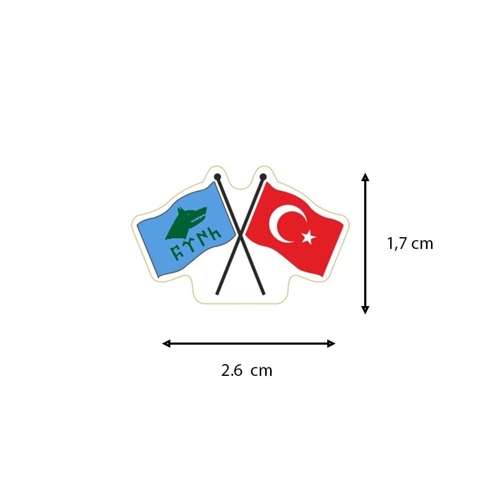 Göktürk ve Türk Bayrağı Görselli Yaka Rozeti 1 Adet